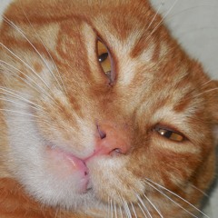 Lita Villa-Coult Crone)