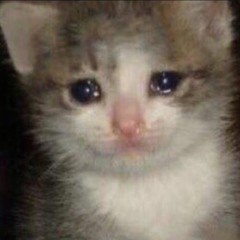 Brian E v Haggerty1962