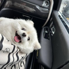 Mong Chờ Tềnh Iu !