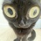 Gremlin1021