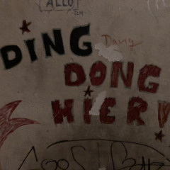 DingDong