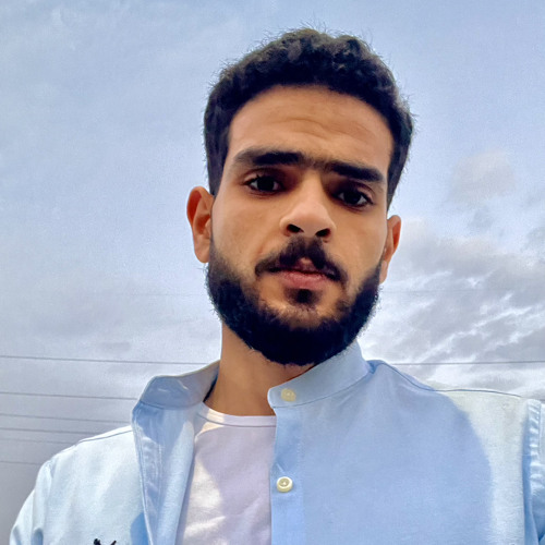 Mohamed E. Elrefaai’s avatar