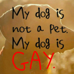 poo