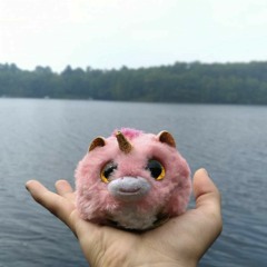 Emi hamster828