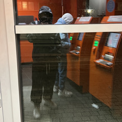 albinos