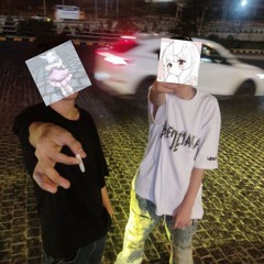 pooya206