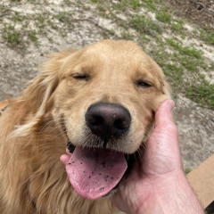 Marley