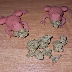 Młodzi MC