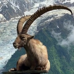 ZaZOu Trust NO $oUL 💯