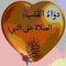 Mahmoud Khurfan