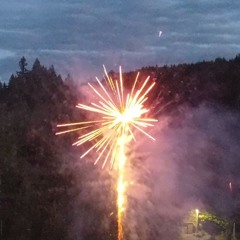 westernmotion