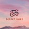 Secret Skies