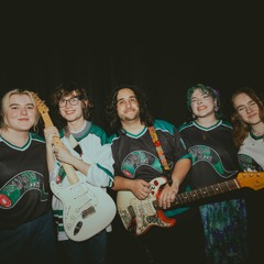 Iguanas On The Floor🦎