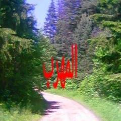 طير الصاف
