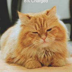 tiitferaday