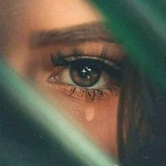 يا نهار شيماء هلالي
