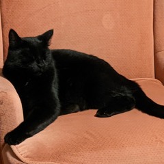 Hat on a Hat (Babes Deluxe)