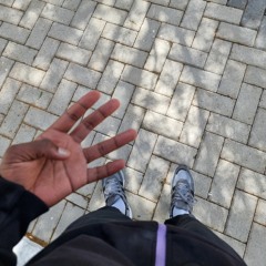prodii.g