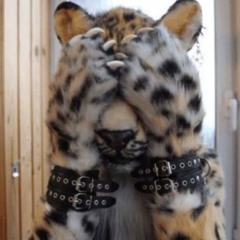 furxxet