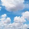cielo