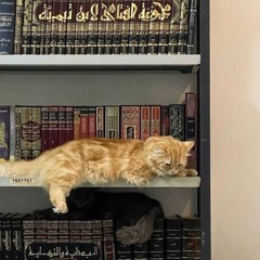 إيلاف زكريا