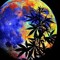 Jigme Weedy