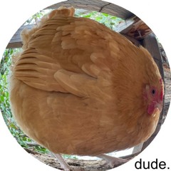 Maybe Sam2go (sam2go's edition)