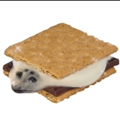 ◟˚𖥻  moonspawn0 ๑ ‧