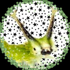 🐛☆°•!𝔊𝔩𝔲𝔤/ℜ𝔬𝔠𝔨𝔶!•°☆🐛