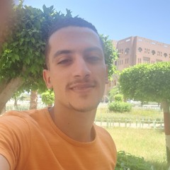 Mostafa Khedr