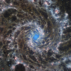 Hamid Reza Bozorgmehr