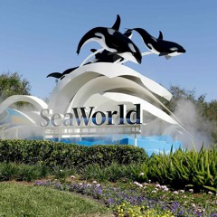 BV Theme Parks