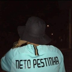 Neto pestinha