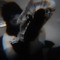 grveprtyboyXO