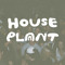 House Plant