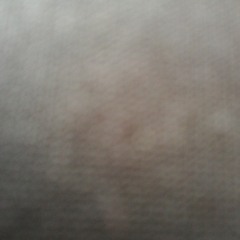 محمد رزق ابو عمار