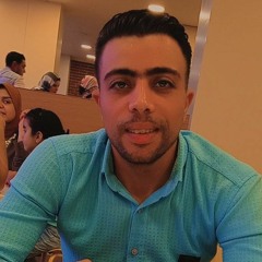eng/mohamed elziny