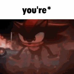 FoggyKog