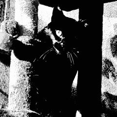 Magick Bullet Theorist