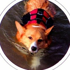 sasopei (さそぺい)