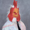 Thicc Rooster