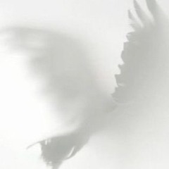 사우스보이인더클럽2001