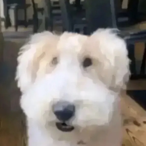 BoJack Horseman S6E16 Opening Why The Long Face