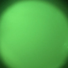 oskar_rollberg