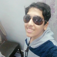 Seif Mohamed Refaat