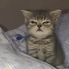 54737gj79h74dq16g4gd31127g4g7kkukgxqaf4kaj4