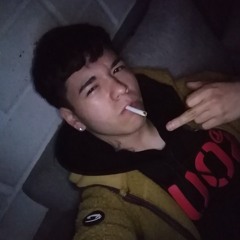 Rein4ld