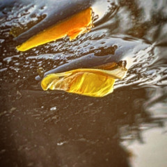 IcallHimDaddyButHeAintMyFather