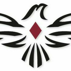 Falcon Paz