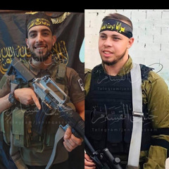 عز عموري